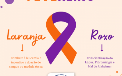 #FEVEREIRO ROXO/LARANJA